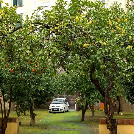 Palazzo Sant'Antonio-2